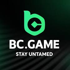 Explore the Thrills of BC.Game Crypto Casino Your Ultimate Gaming Destination