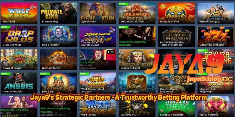 The Psychology Behind Crash Game Betting Strategies for Success